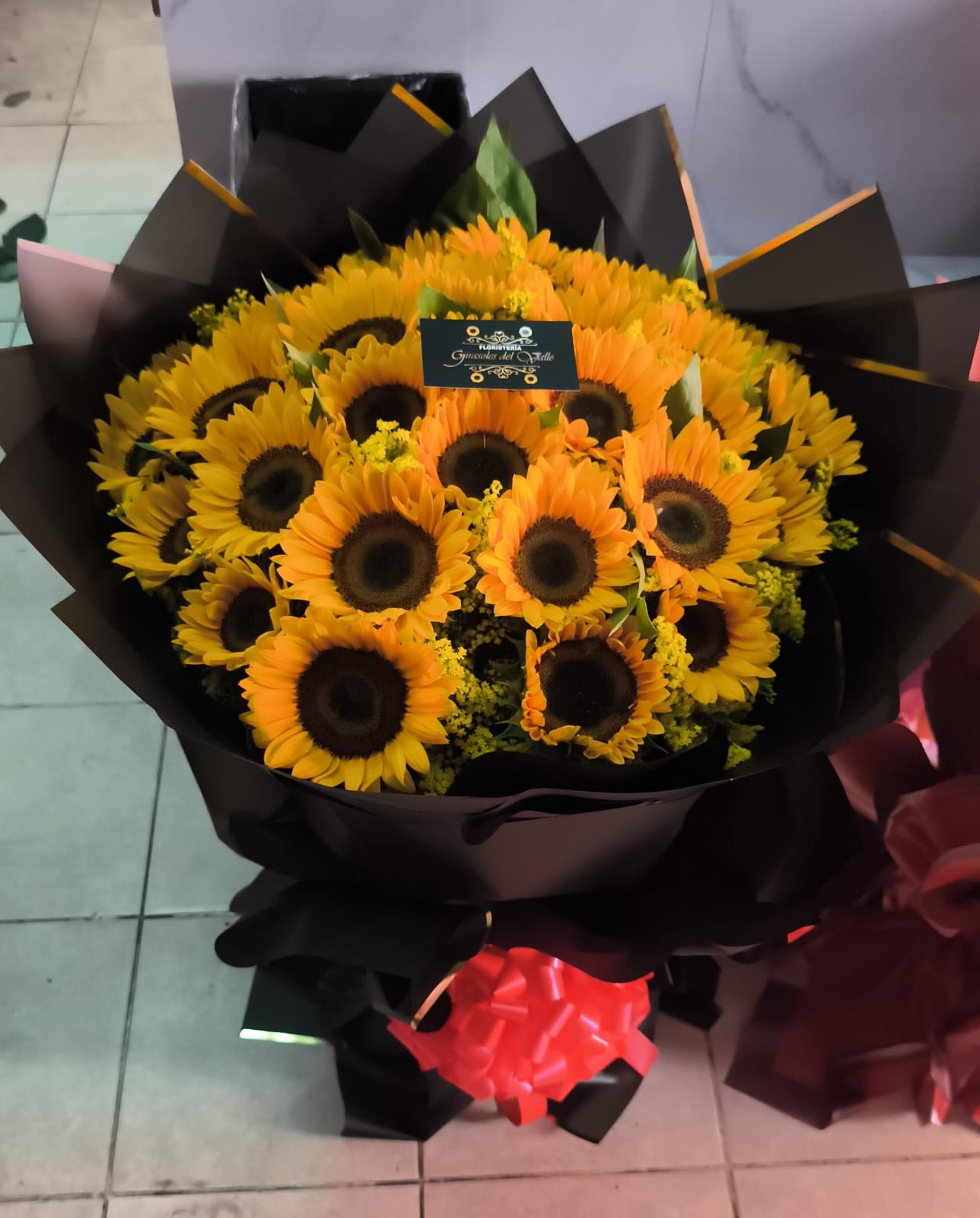 Girasoles