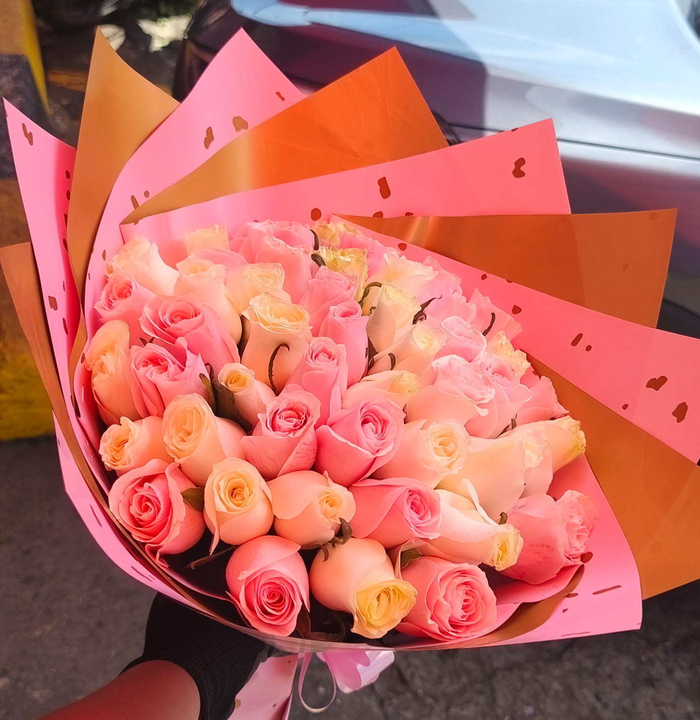 Explosión de rosas